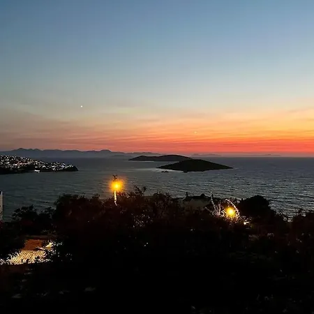 Vilă The Aegean Nest
